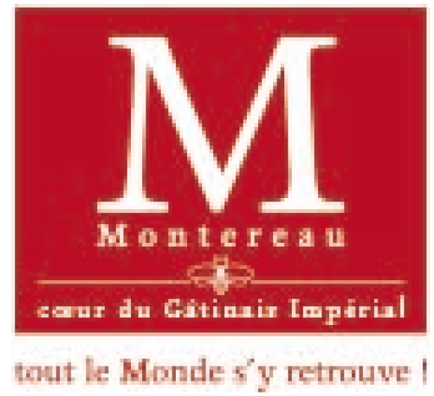 logo -ville-montereau-partenaire-Confluences-Ludiques